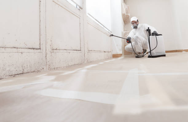 Post-remediation clearance in Pompano Beach